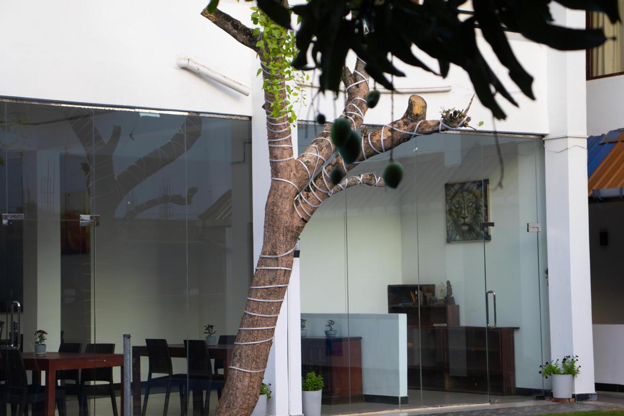 Hotel Woodnest Windmill Negombo