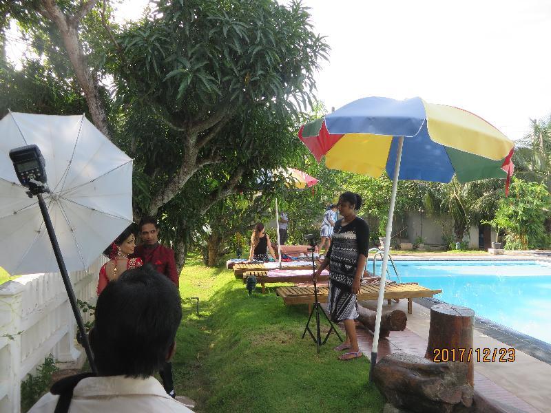 Woodnest Windmill Hotel 2*